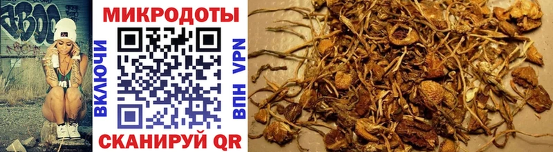 Псилоцибиновые грибы MAGIC MUSHROOMS hydra как войти Чайковский